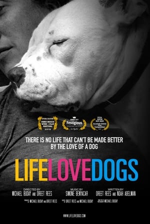 Image Life Love Dogs