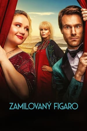 Poster Zamilovaný Figaro 2021