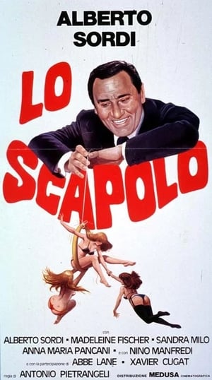 Poster Lo scapolo 1955