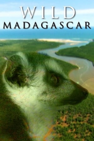 Poster Wild Madagascar 