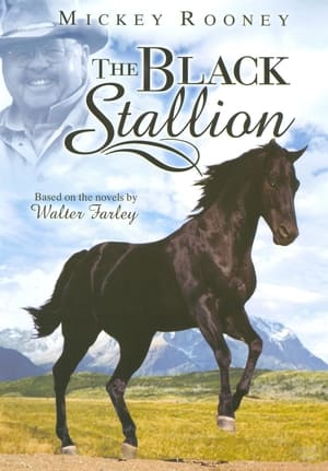 Poster The Adventures of the Black Stallion Stagione 3 Episodio 17 1993