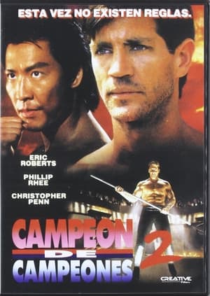 Poster Campeón de campeones 2 1993