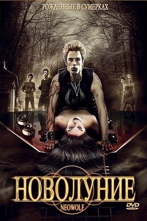 Poster Новолуние 2010