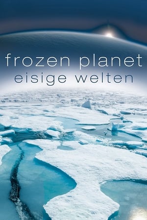 Poster Eisige Welten 2011