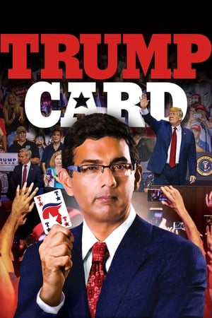Poster 트럼프 카드 2020