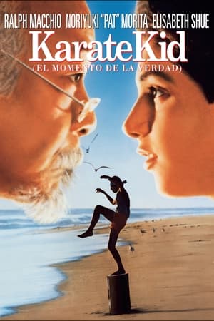 Poster Karate Kid, el momento de la verdad 1984
