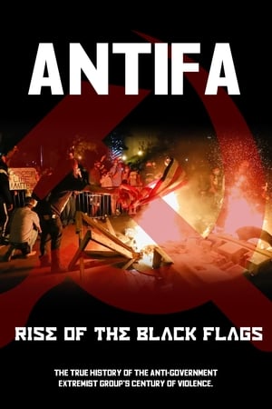 Poster Antifa:  Rise of the Black Flags 2020