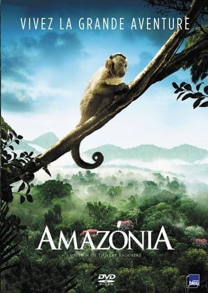 Poster Amazónia 2013