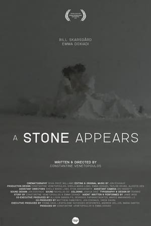 Poster A Stone Appears 2016