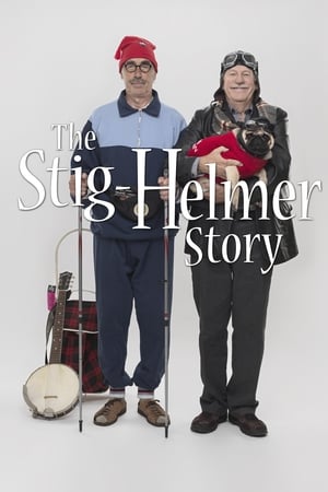 Poster The Stig-Helmer Story 2011