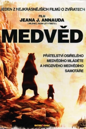 Poster Medvěd 1988