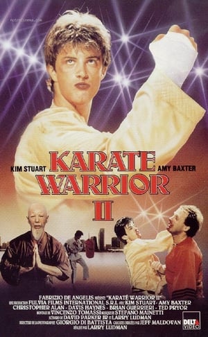 Image Karate harcos 2