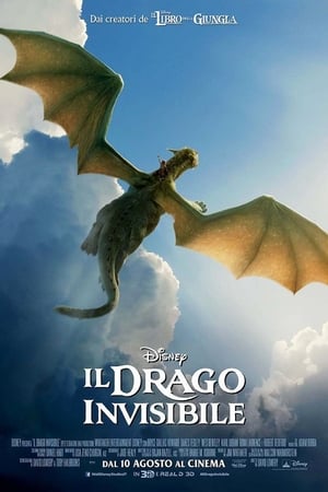 Poster Il drago invisibile 2016