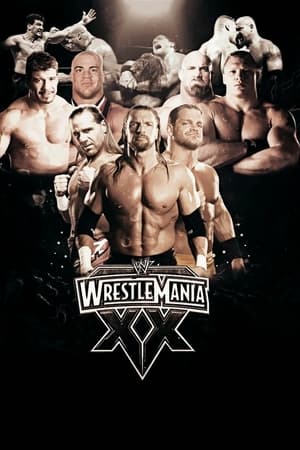 Poster WWE WrestleMania XX 2004