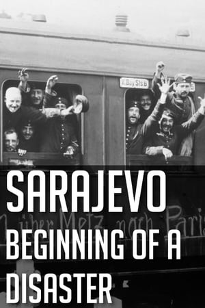 Poster Sarajevo: Der Weg in die Katastrophe 2014