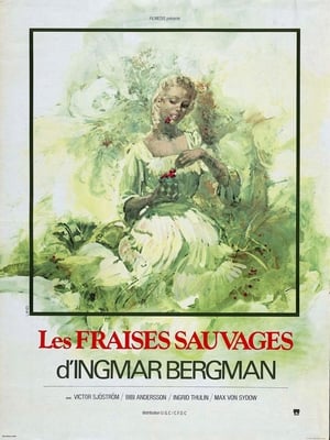 Poster Les Fraises sauvages 1957