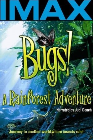 Poster IMAX - 热带雨林里的昆虫 2003