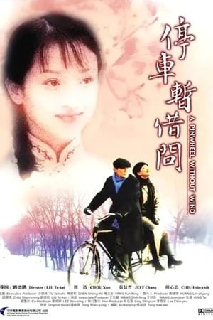Poster 烟雨红颜 2002