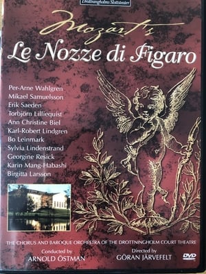Poster Le Nozze di Figaro 1981
