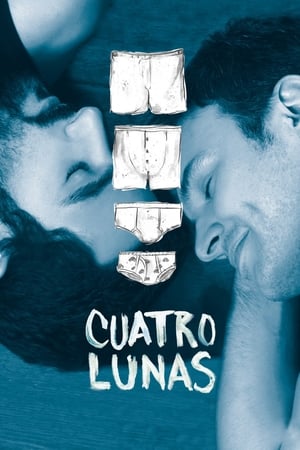 Poster Cuatro Lunas 2014