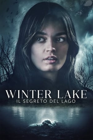 Poster Winter Lake - Il segreto del lago 2020