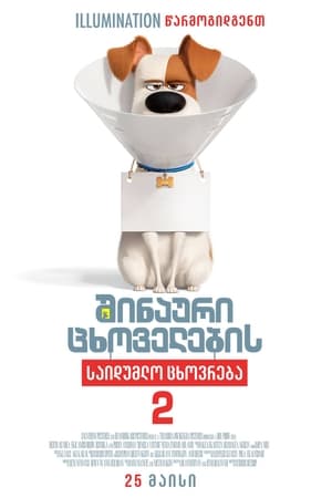 Poster შინაური ცხოველების საიდუმლო ცხოვრება 2 2019