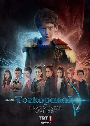 Poster Tozkoparan 2018