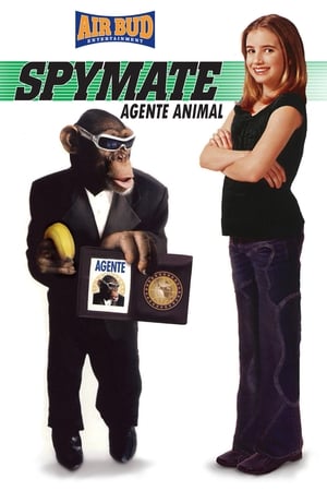 Poster Spymate 2003