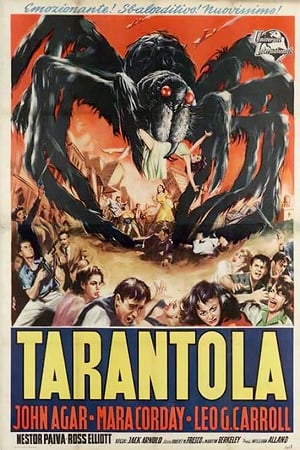 Poster Tarantola 1955