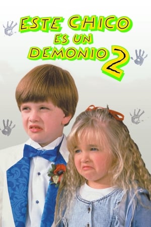 Poster Este chico es un demonio 2 1991