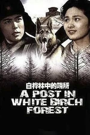 Poster A Post in White Birch Forest 1982