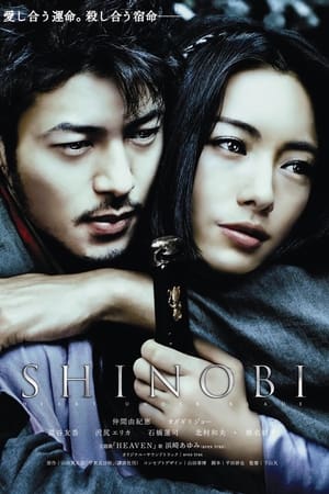 Poster Shinobi 2005