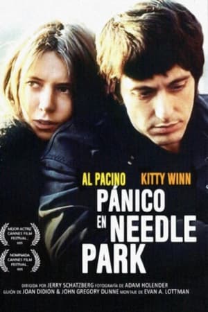 Poster Pánico en Needle Park 1971