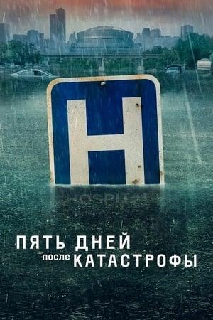 Poster Пять дней после катастрофы 2022