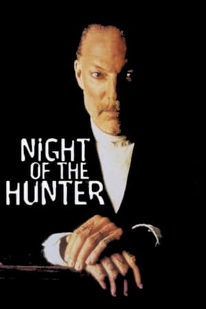 Poster Night of the Hunter 1991
