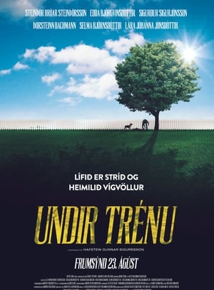 Poster Undir trénu 2017