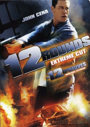 Poster 12 Rounds 2009