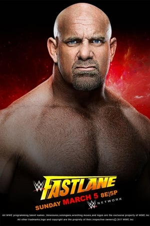 Poster WWE Fastlane 2017 2017