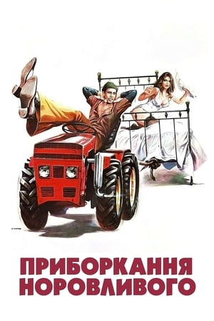 Poster Приборкання норовливого 1980