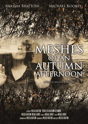 Poster Meshes of an Autumn Afternoon 2016