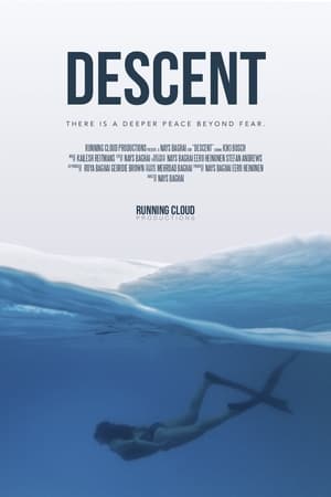 Poster Descent 2020