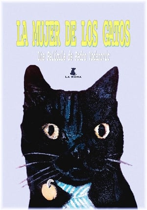 Poster La mujer de los gatos 2020