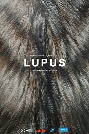 Image Lupus
