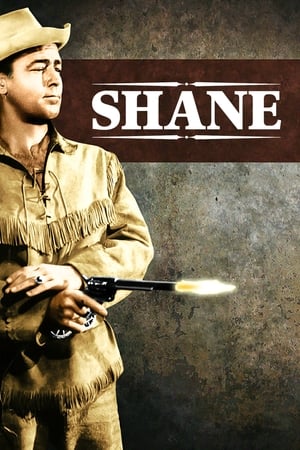 Image Shane