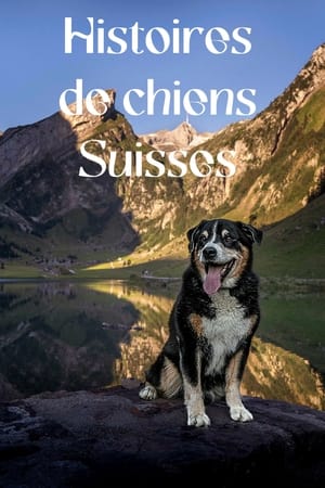 Image Histoires de chiens suisses