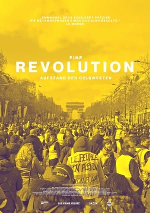 Image Eine Revolution – Aufstand der Gelbwesten
