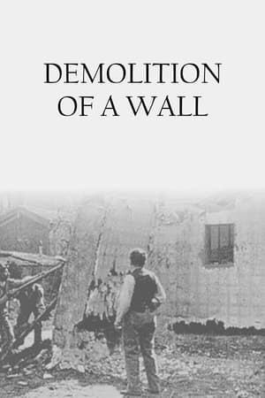 Poster Demolition of a Wall 1896