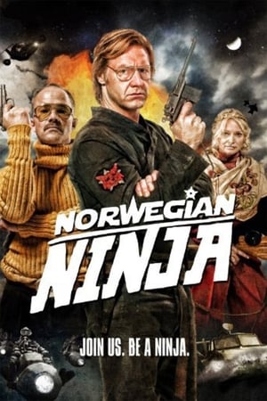 Image Norveçli Ninja