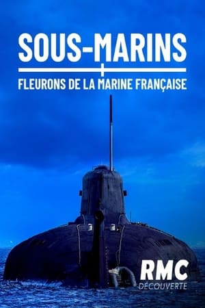 Poster Sous-marins, fleurons de la marine française 2017