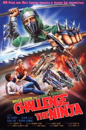 Image Challenge of the Ninja